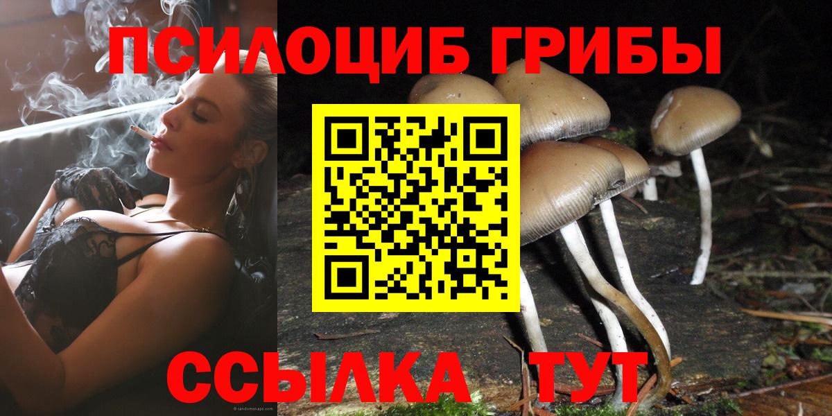 Галлюциногенные грибы мицелий Ленинск-Кузнецкий